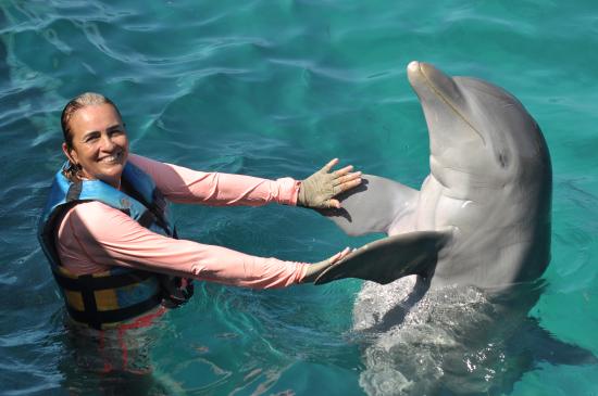 royal garrafon y nado con delfines encuentro 1