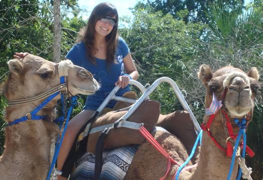 safari en camellos 4
