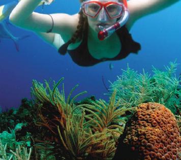 tour a isla mujeres en catamarÁn y snorkel (get up and go) 3