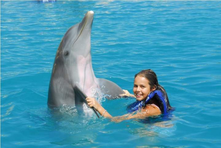 nado con delfines primax 2