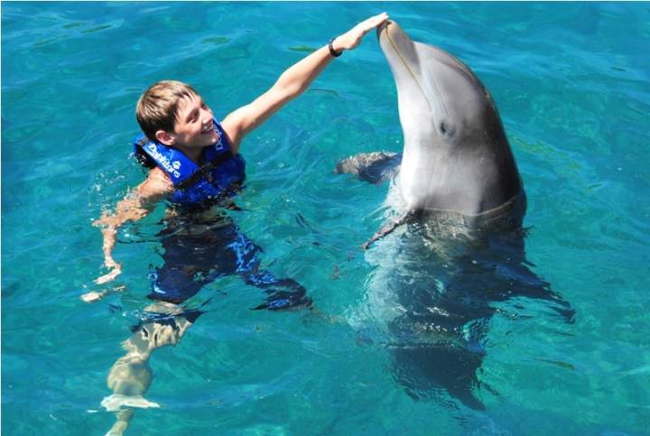 nado con delfines primax 5