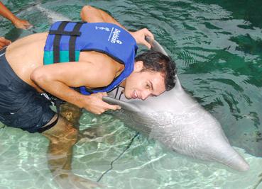 nado con delfines  2