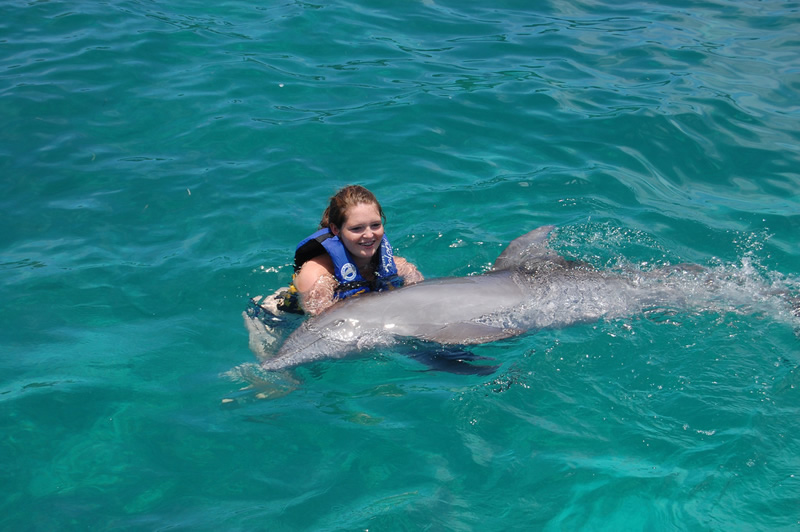 dolphin swim adventure en isla mujeres 3