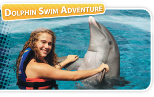 dolphin swim adventure en isla mujeres 1