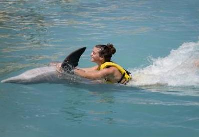 nado con delfines y ride (dsr) con entrada a wet and wild 4