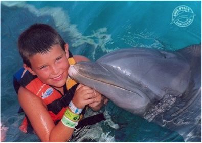 encuentro con delfines en cozumel 3