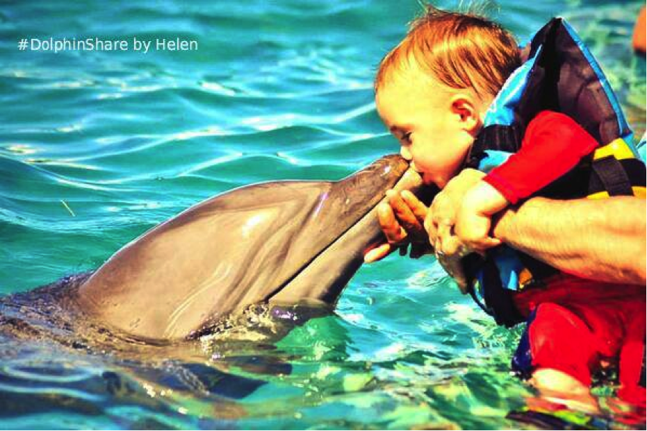 encuentro con delfines en cozumel 4