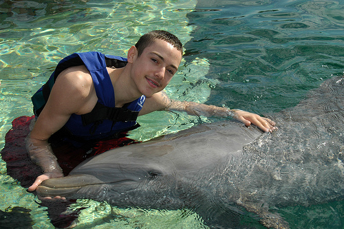 nado con delfines programa avanzado en el acuario de cancun 3