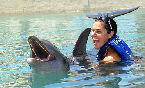 nado con delfines programa avanzado en el acuario de cancun 5