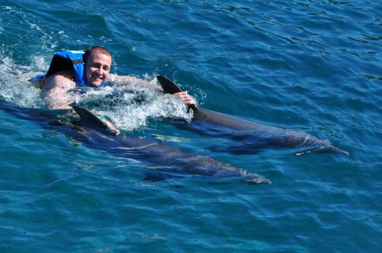 parque garrafon vip en isla mujeres y nado royal con delfines 2