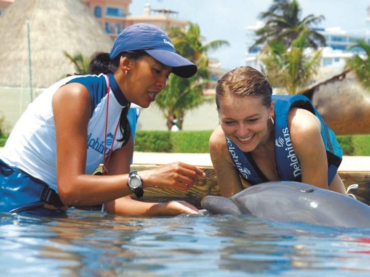 entrenador de delfines por un dia en xel ha 1