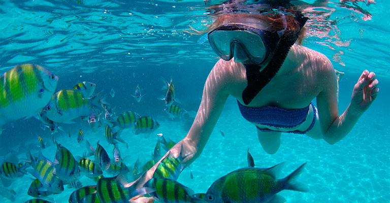 paraiso de snorkel en el arrecife 5