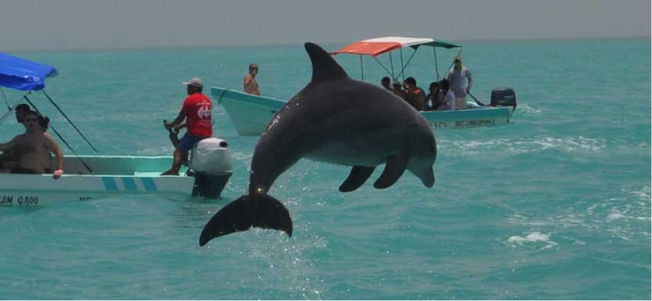aventura en sian kaan y avistamiento de delfines 1