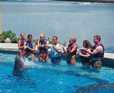 dolphin splash en cancun, puerto morelos o riviera maya 4