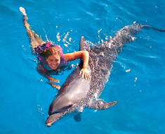 dolphin splash en cancun, puerto morelos o riviera maya 2
