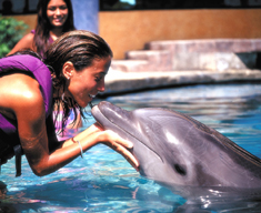dolphin splash en cancun, puerto morelos o riviera maya 3