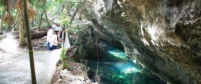 excursion en caballos en la jungla 5