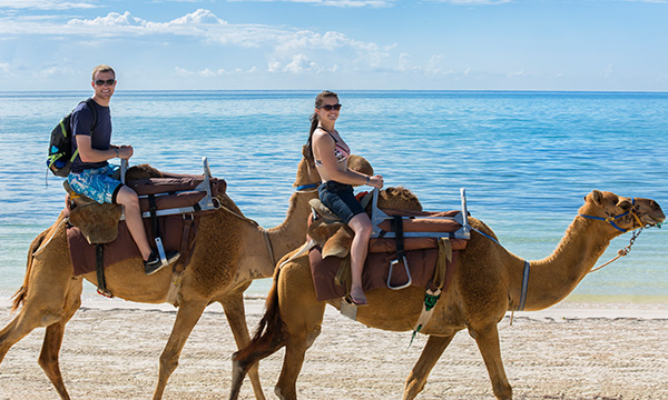 tours in cancun