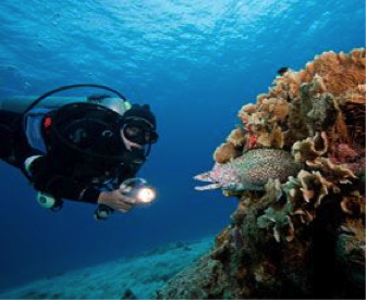 buceo certificado (buceo de un tanque para buzos certificados) 4