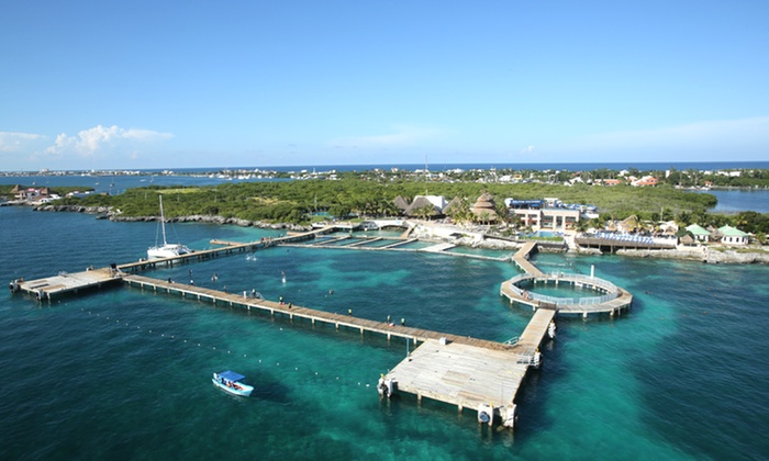 encuentro con delfines en isla mujeres 5