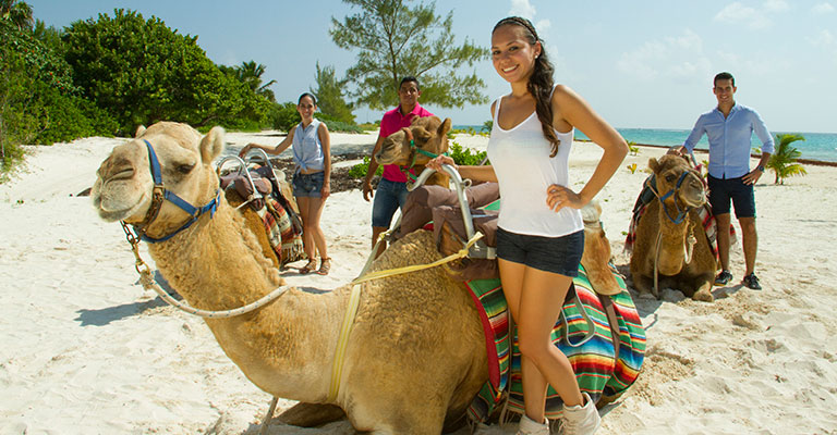 safari en camellos 1