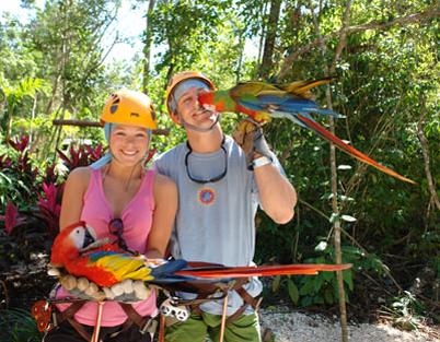 excursiÓn de tirolesas, cenote y aventura 5