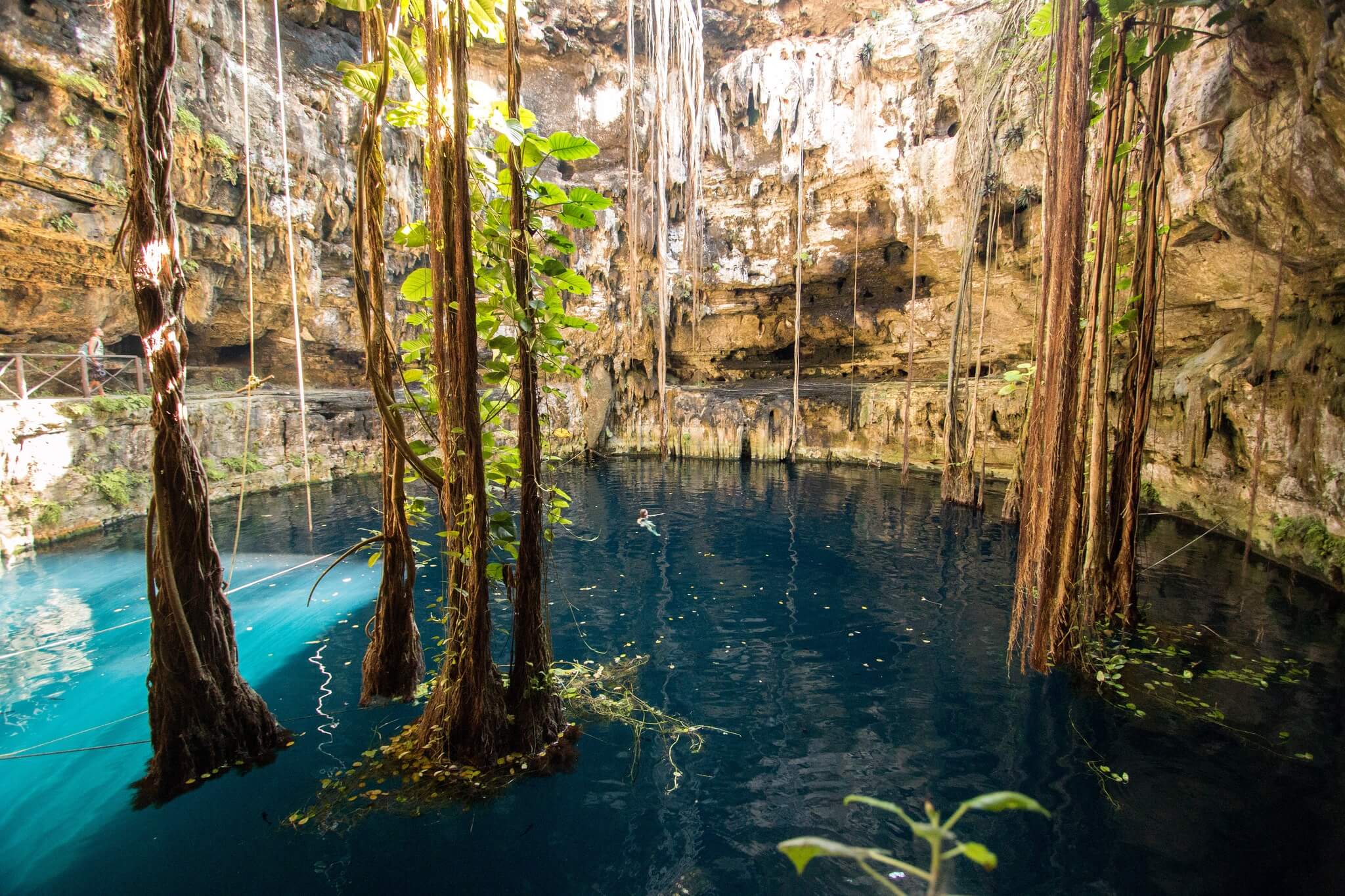 cenote experience 1