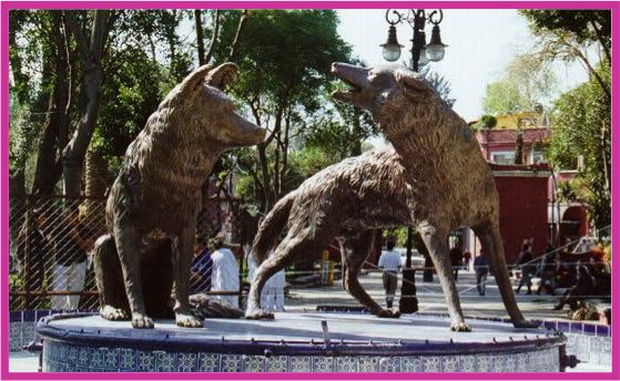 xochimilco y museo frida kahlo 5