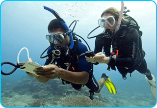 curso padi aguas abiertas (open waters) 1