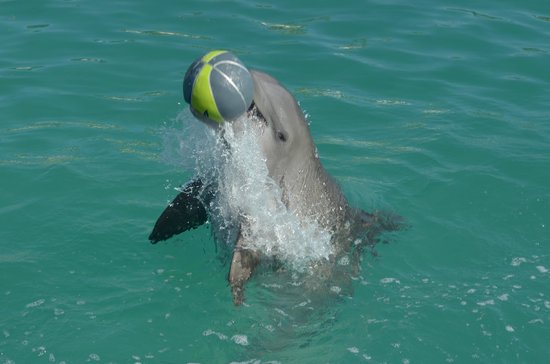 tours in cancun