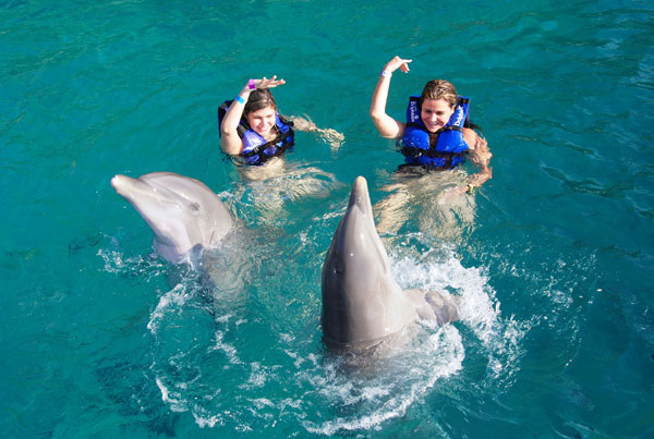 dolphin splash en cancun, puerto morelos o riviera maya 5