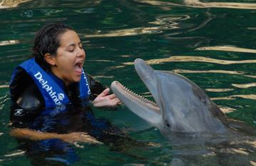 nado con delfines  1
