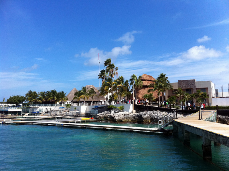 dolphin swim adventure en isla mujeres 4