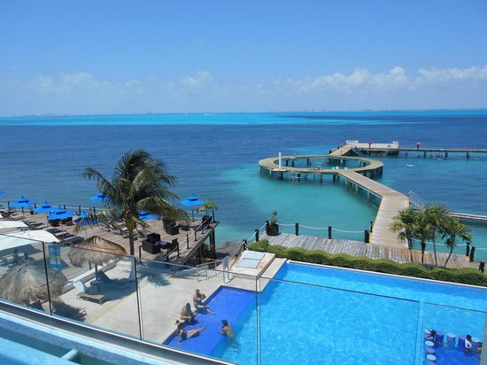 encuentro con delfines en isla mujeres 4