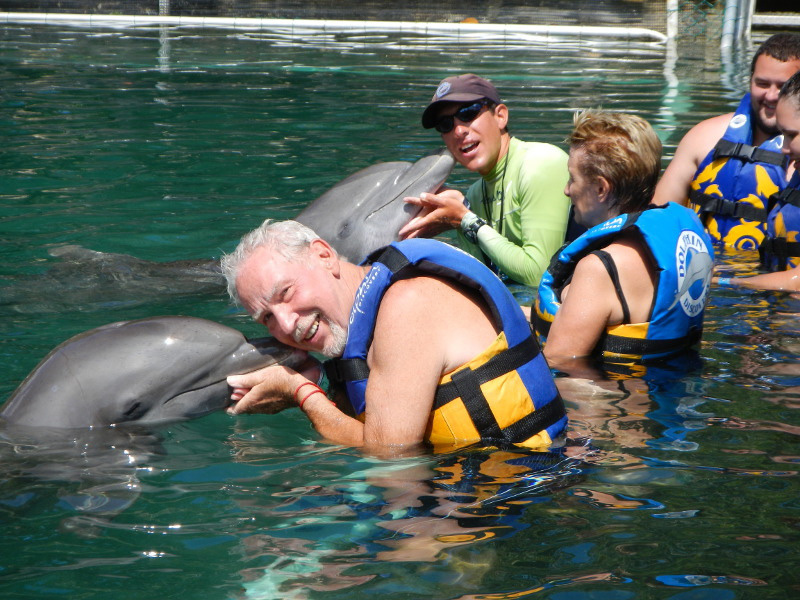 nado con delfines en pdc y puerto aventuras (royal swim) 3