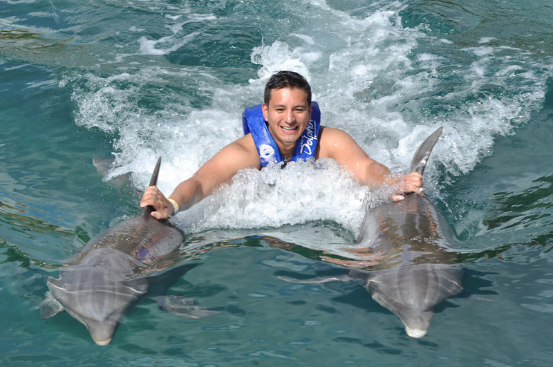 nado con delfines en pdc y puerto aventuras (royal swim) 2