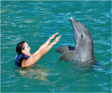 encuentro con delfines en cozumel 2