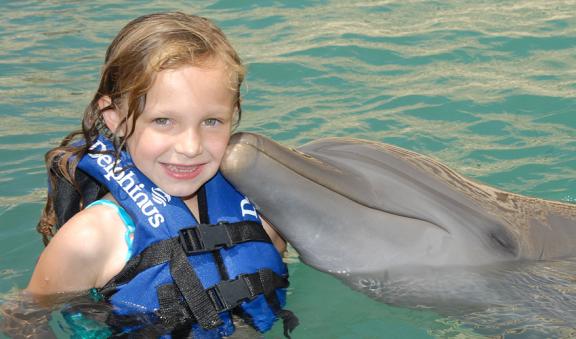 dolphin swim adventure en  pdc y puerto aventuras  1