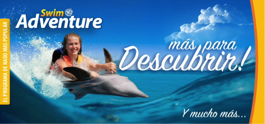 dolphin swim adventure en cozumel 1