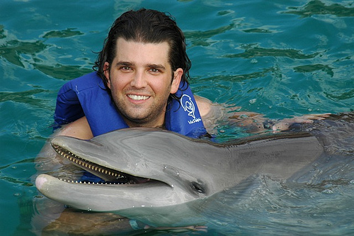 nado con delfines programa avanzado en el acuario de cancun 4