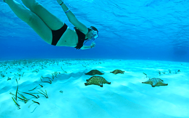 cozumel con snorkel en el cielo y club de playa 1