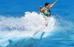 parque garrafon vip en isla mujeres y nado royal con delfines 3