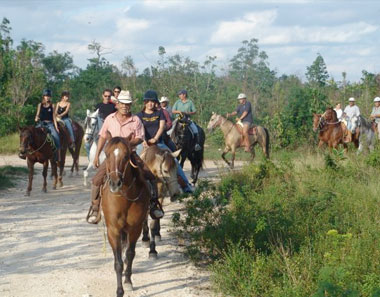 excursion en caballos en la jungla 1
