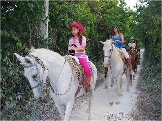 excursion en caballos en la jungla 2