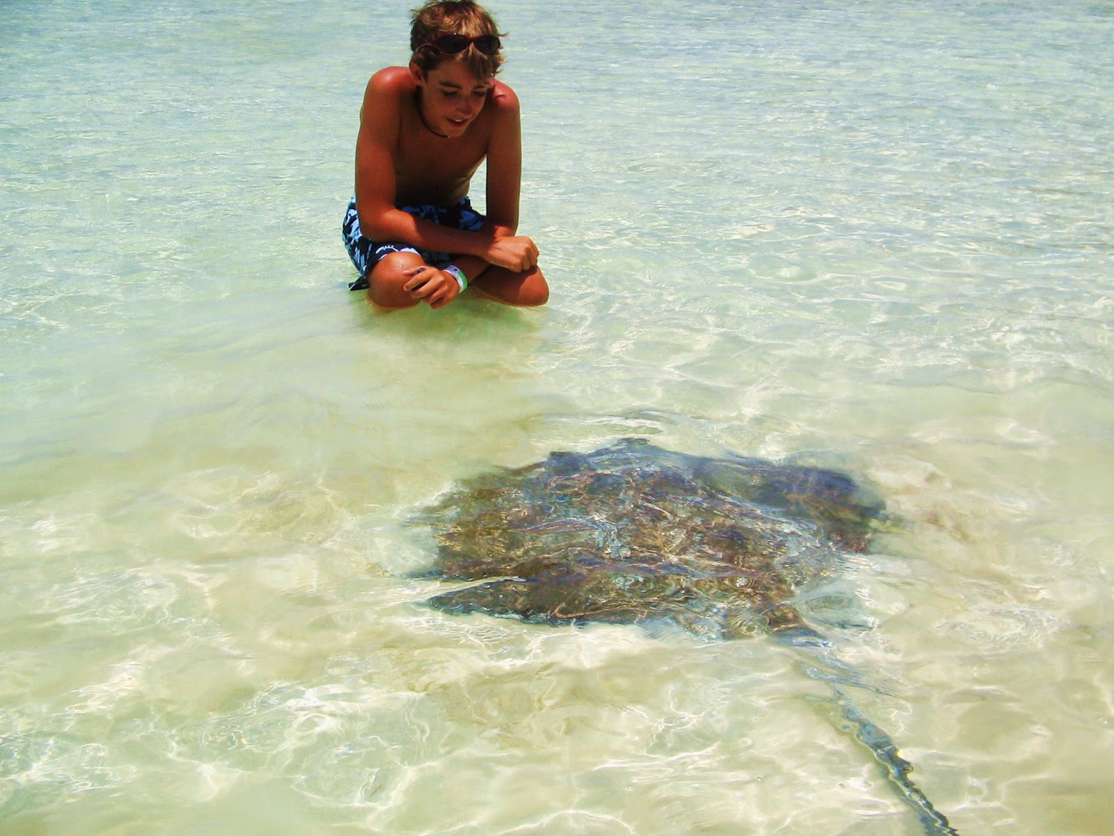 tour a isla contoy en barco 5