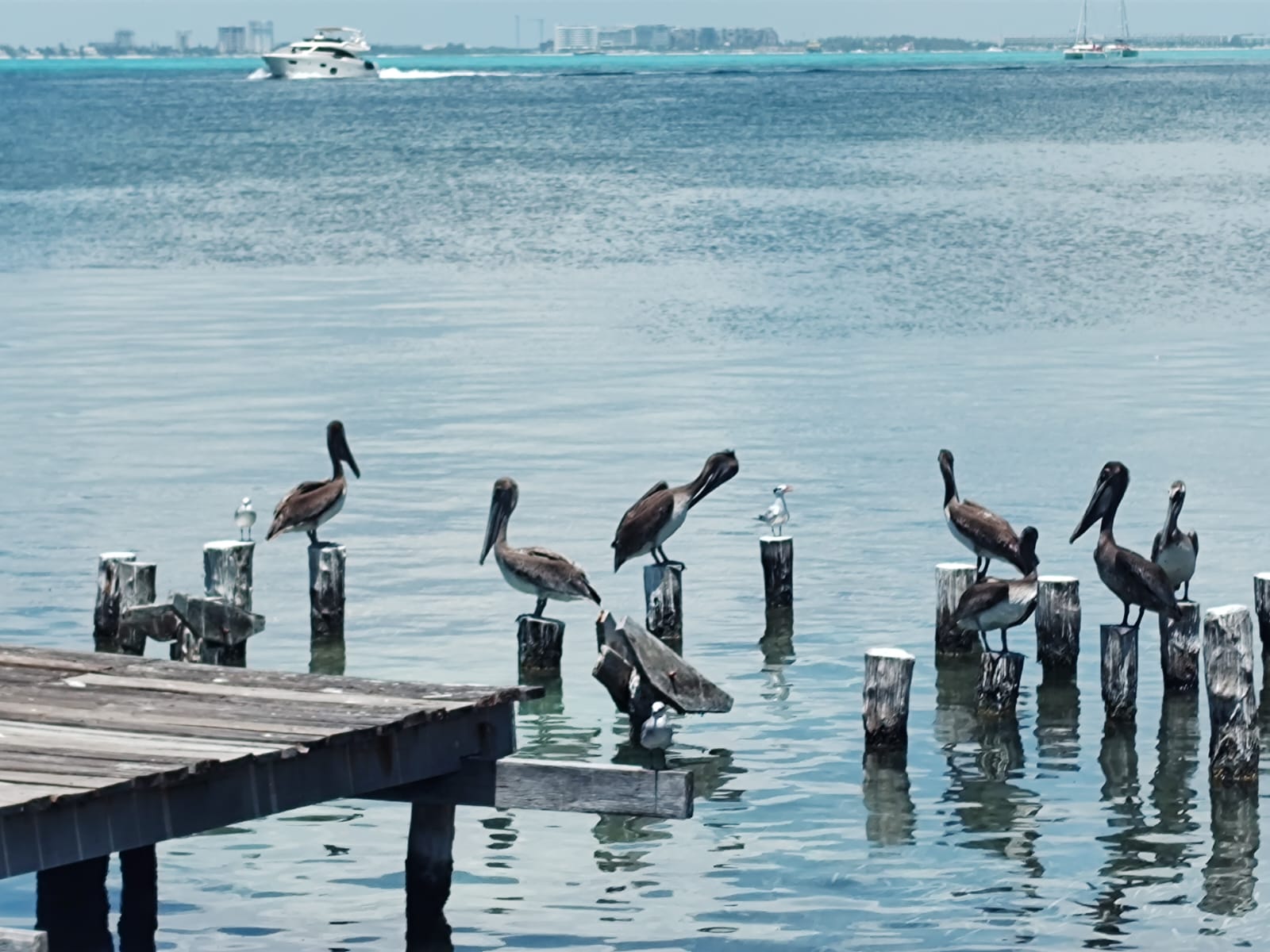 aventura en catamarÁn a isla mujeres 3