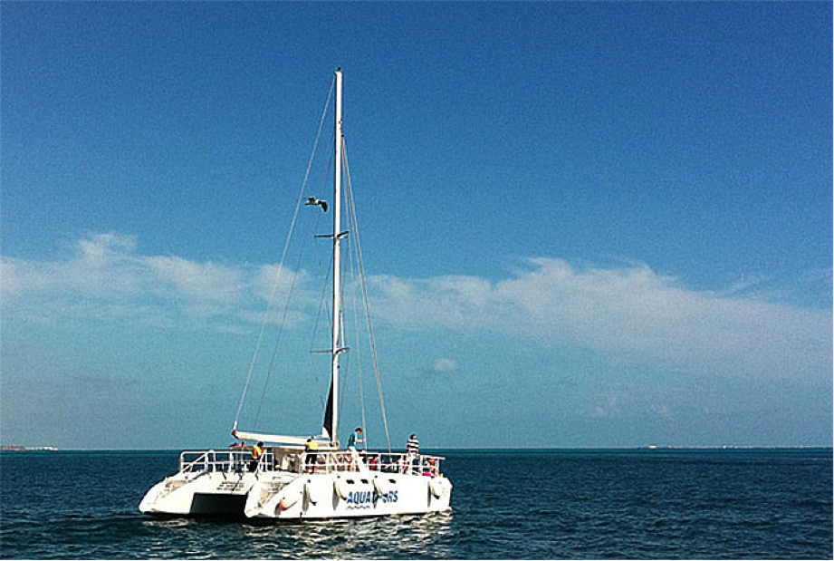 isla mujeres en catamaran, snorkel y nado con delfines 5