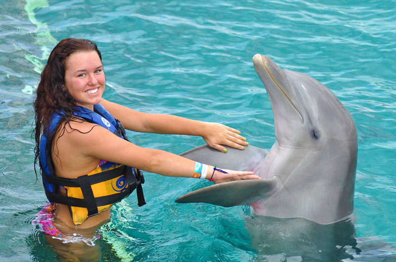 dolphin royal swim vip en isla mujeres 3