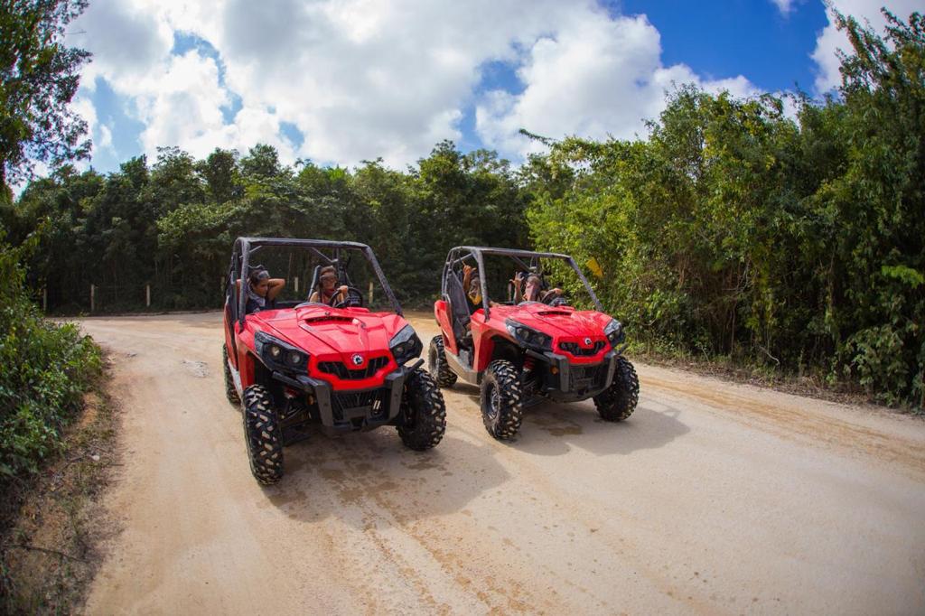 jungle buggy tour de medio dia (doble) 3