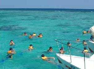 paraiso de snorkel en el arrecife 4